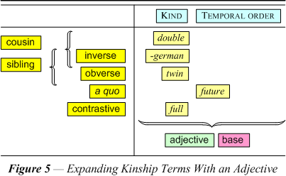 Expanding Kinship Terms With an Adjective