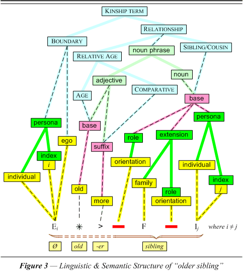 Linguistic & Semantic Structure of older sibling