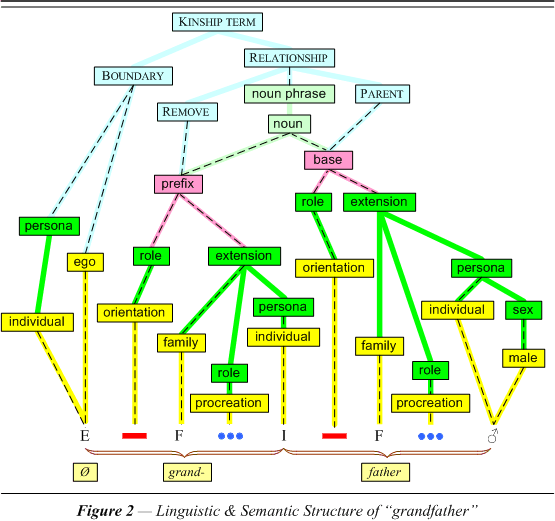 Linguistic & Semantic Structure of �grandfather�