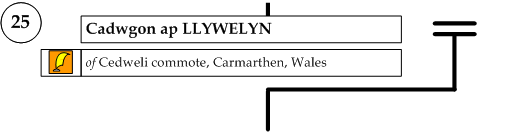 Cadwgon ap Llywelwyn